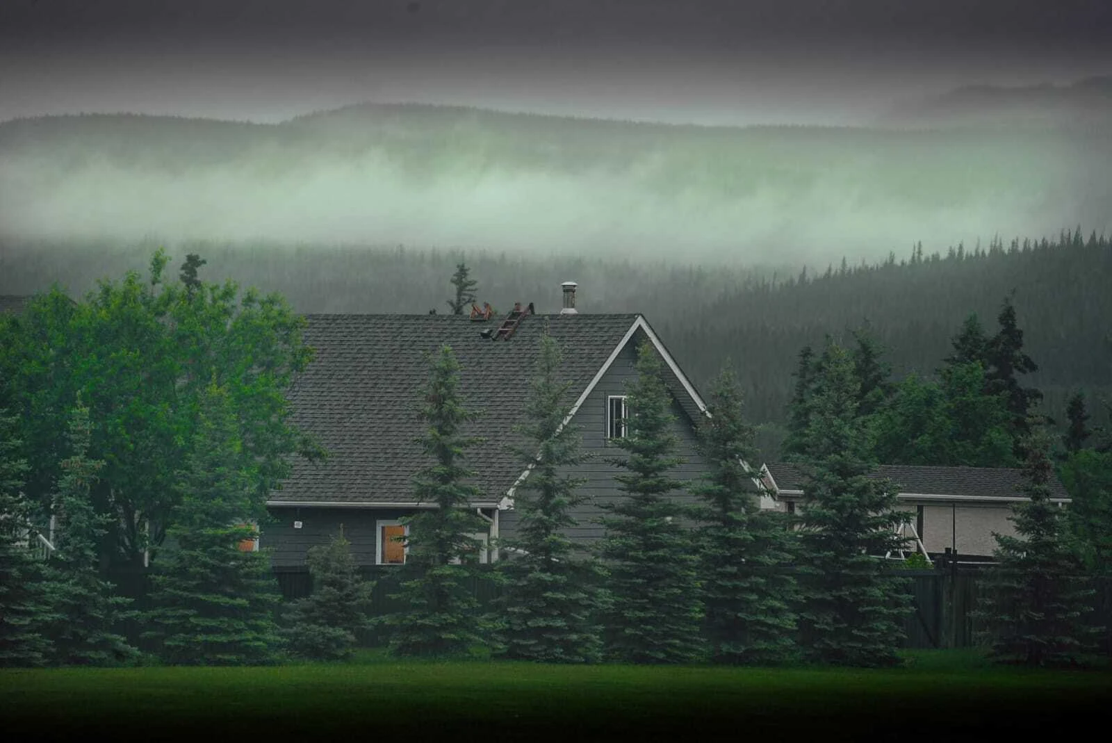 Nature scene 27